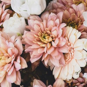 Definitely Divine: The Awakening